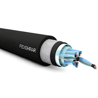 FEXOHRAR Overall Screen GSW Braided Armoured PE Instrument Cable